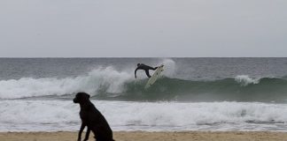 Confira fotos de ambiente do primeiro dia