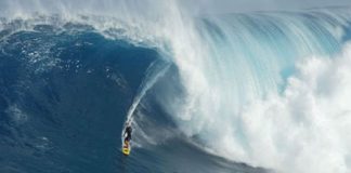 Big swell pode entrar nesta quarta-feira em Jaws