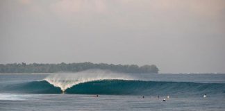 Mentawai não desliga