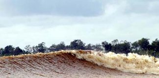 Surfistas encaram circuito brasileiro na pororoca