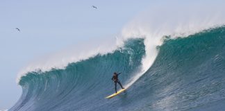 Disposição em Punta