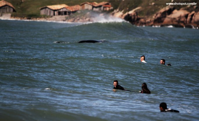 Manu Brasil, terral e baleia na praia do Rosa, Imbituba (SC). Foto: Magda Souza.