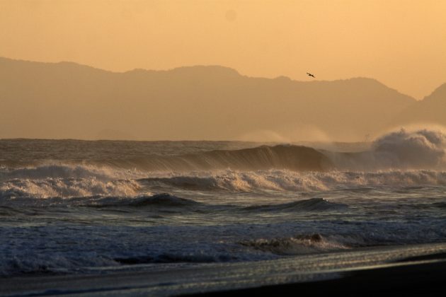 Fim de tarde solitário pra essa gaivota moradora da Barra. Foto: Mario Tetto.