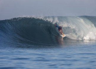 A oferenda de Parko