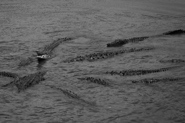 Costa Rica. Foto: Surie Miranda.