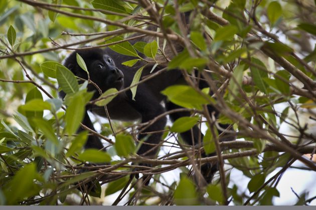 Costa Rica. Foto: Surie Miranda.