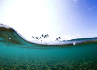 Ubatuba recebe atrações