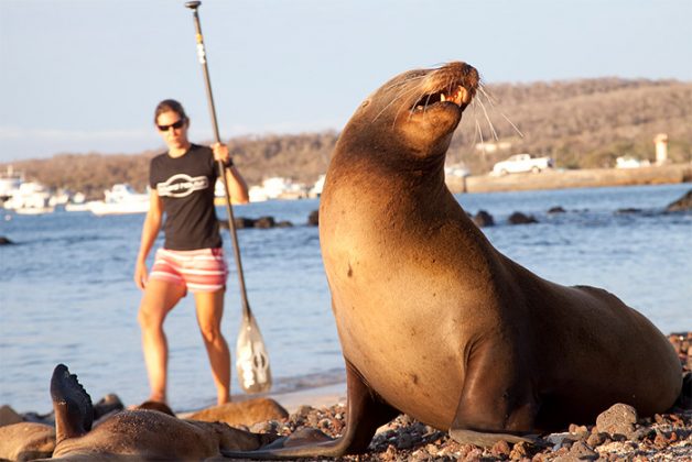 Roberta Borsari em Galápagos. Foto: Fábio Paradise.