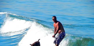 SUP Dog Session: Augusto Martins, Parafina e Surf