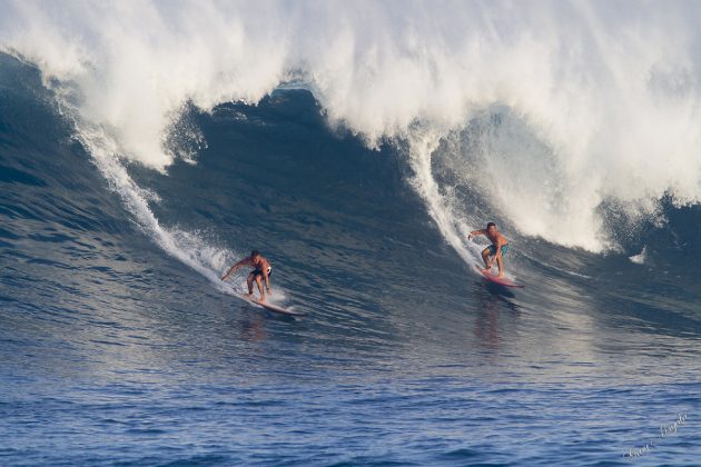 Waimea Bay e seus discipulos Waimea Bay, Hawaii. Foto: Gary Miyata.