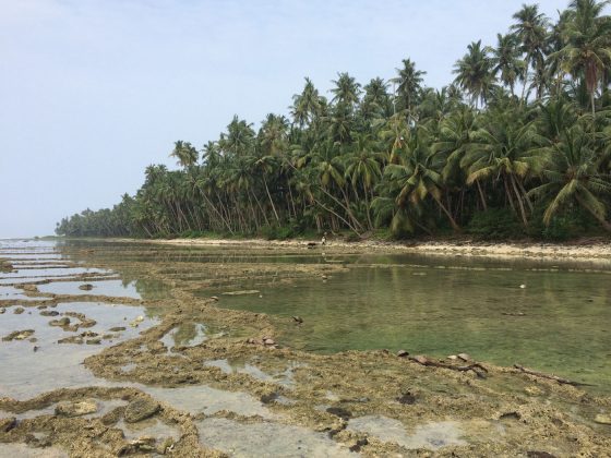 Nias, Indonésia. Foto: Arquivo pessoal Fábio Gouveia.