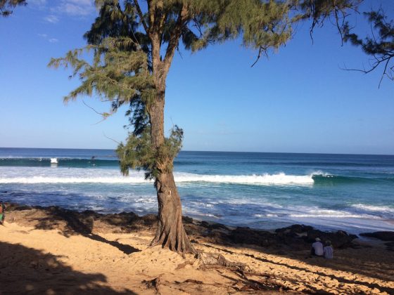 North Shore de Oahu, Havaí. Foto: Roberto Moretto.