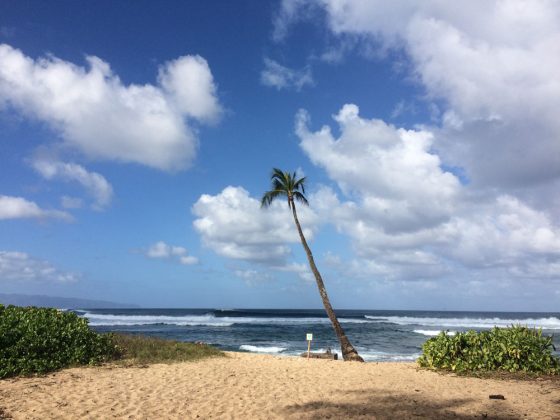 North Shore de Oahu, Havaí. Foto: Roberto Moretto.