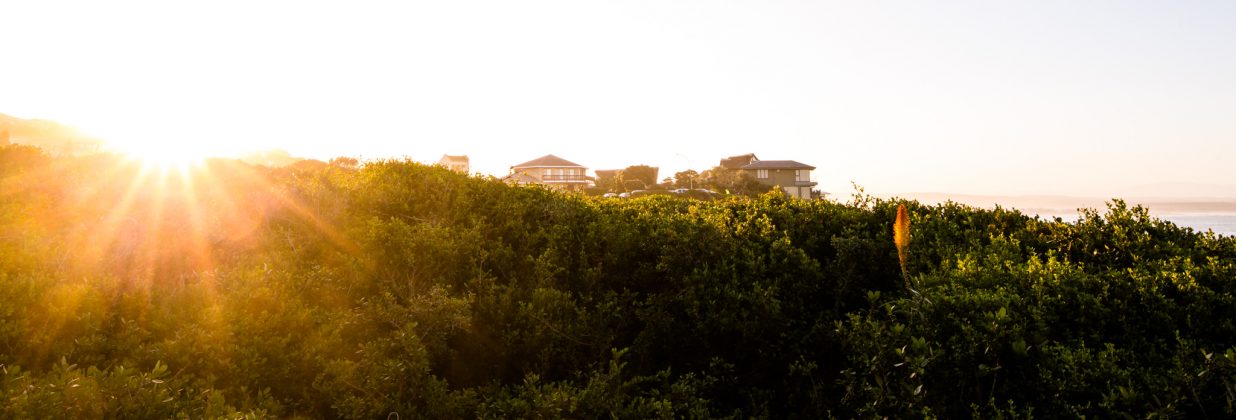 Visual, J-Bay Open 2016, África do Sul. Foto: Luca Castro / @lucaxiz.