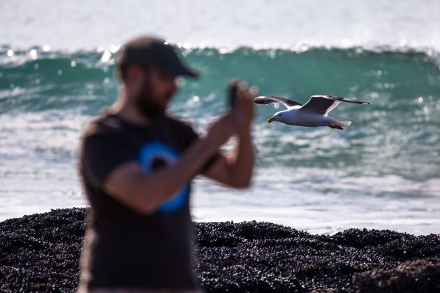 Visual, J-Bay Open 2016, África do Sul. Foto: Luca Castro / @lucaxiz.