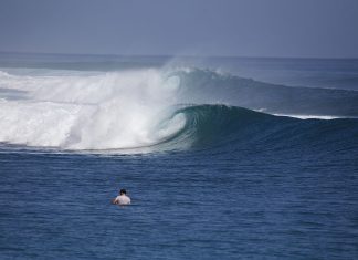 O néctar de Mentawai