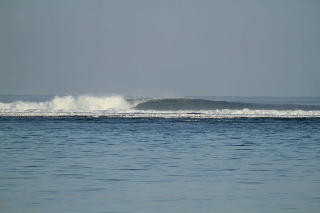 Scar Reef, Indonésia. Foto: Darcy Guimarães.