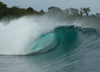 Redescobrindo Mentawai