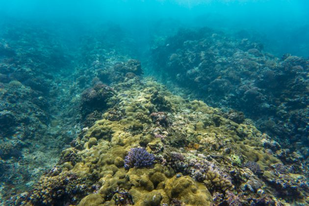 Fiji ISA World SUP and Paddleboard Championship 2016, Cloudbreak. Foto: ISA / Sean Evans .