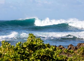 De volta a Haleiwa