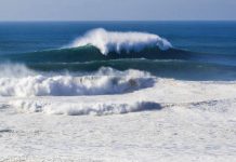 WSL monitora swell