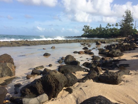 North Shore de Oahu, Havaí. Foto: Arquivo pessoal Fábio Gouveia.