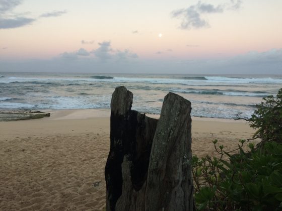 North Shore de Oahu, Havaí. Foto: Arquivo pessoal Fábio Gouveia.