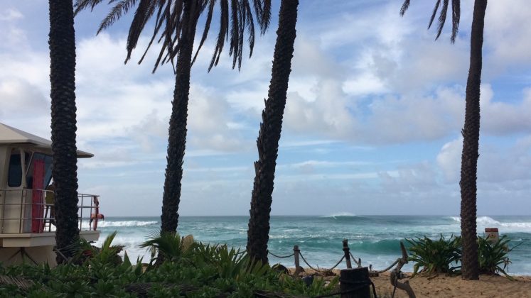 North Shore de Oahu, Havaí. Foto: Arquivo pessoal Fábio Gouveia.