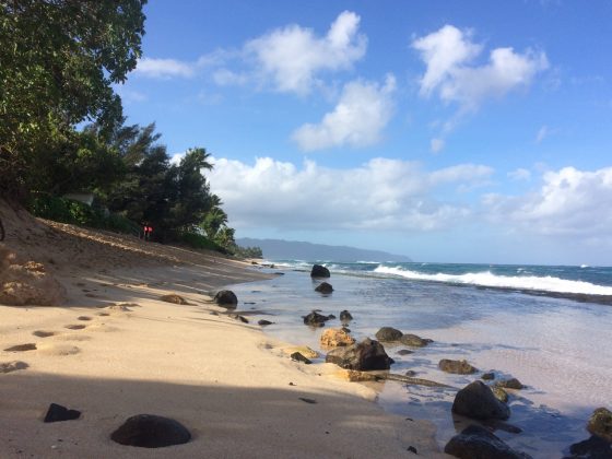 North Shore de Oahu, Havaí. Foto: Arquivo pessoal Fábio Gouveia.