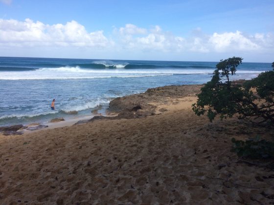 North Shore de Oahu, Havaí. Foto: Arquivo pessoal Fábio Gouveia.