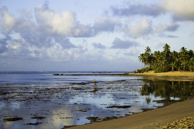 Praia do Forte, litoral baiano. Foto: Sávio Ribeiro.