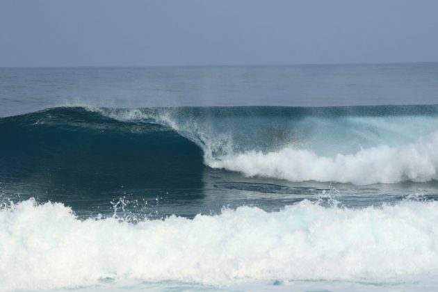 Marcio Grillo, Havaí. Foto: Zach Dela Cruz .