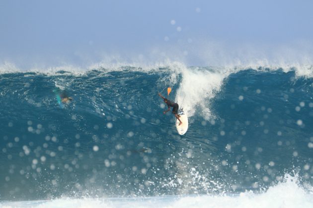 Marcio Grillo, Havaí. Foto: Zach Dela Cruz .