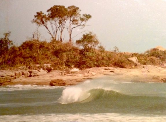 Laranjeiras em 1979, Trindade (RJ). Foto: Bruno Alves.