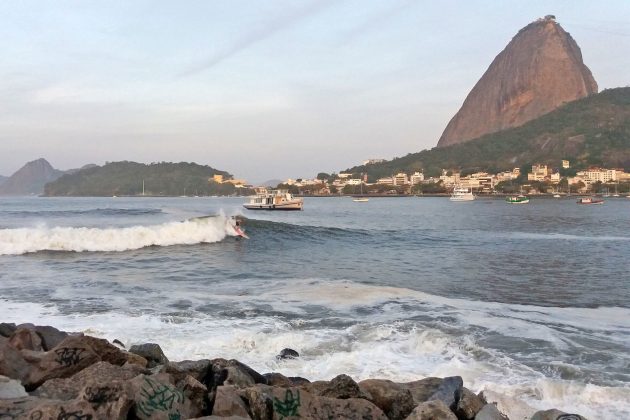 Pedro Monteiro, Baía de Guanabara (RJ). Foto: Tathyana Genova.