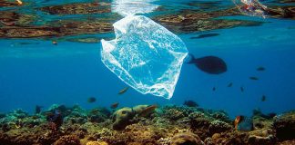 Lixo plástico pode quadruplicar