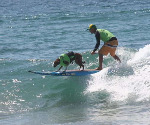 Surf City Surf Dog 2017. Foto: Reprodução.