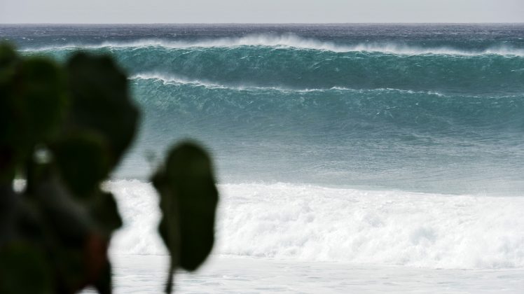  North Shore de Oahu, Havaí. Foto: Bruno Lemos / Sony Brasil.