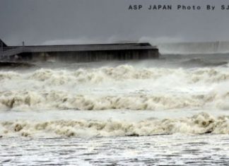 Fukushima e todos nós