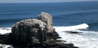 Confira imagens de Punta Lobos